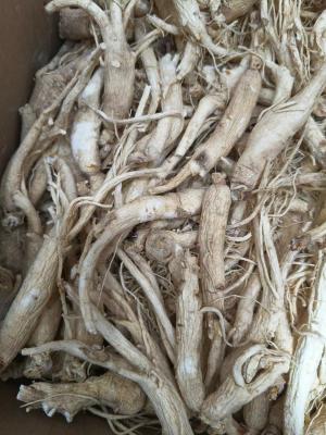 Chinese medicine